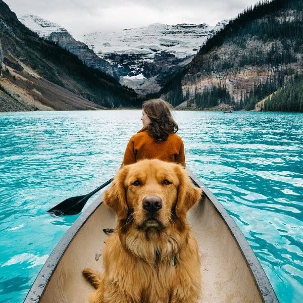 Urlaub am See mit meinem Hund; Kajak; Berge