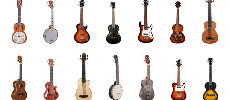 Eine Auswahl verschiedener Ukulelenmodelle, darunter Sopran-, Konzert-, Tenor-, und Bass-Ukulelen sowie E-Ukulelen.